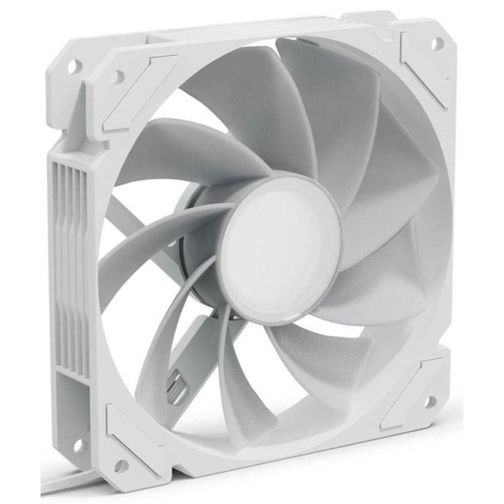 SHARK Mirror PWM RGB Reverse, White