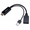 Akasa HDMI To DisplayPort, Adapater Cable - Black - 1