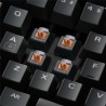 Sharkoon Skiller Mech SGK3, RGB Gaming Keyboard, Kailh Brown - Layout IT - 3