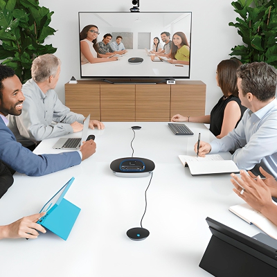 Logitech GROUP Expansion Mics for Large Meetings - Black - 3