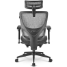 Sharkoon OfficePal C30M Office Chair - Black / Grey