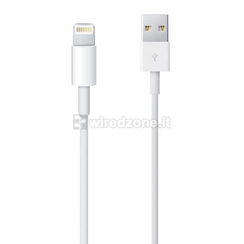 Apple Lightning to USB cable 2m