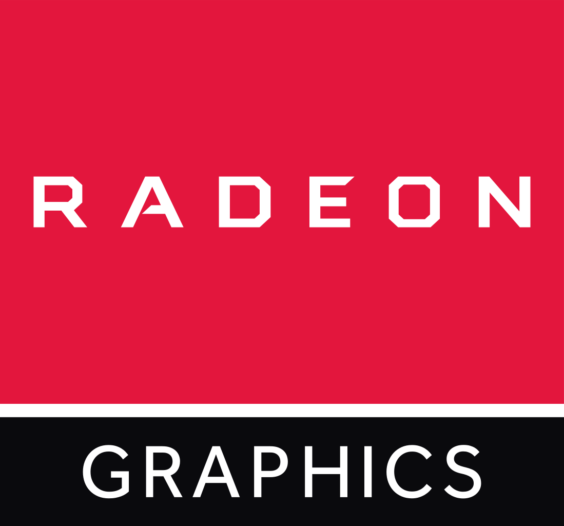 Scheda Video AMD Radeon Graphics